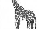 gv-ink-giraffe